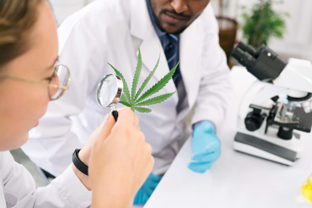 CBD merchant account